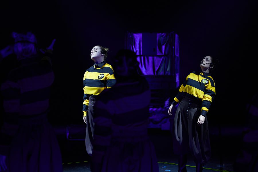 zwei als Bienen verkleidete Sängerinnen stehen auf einer Bühne