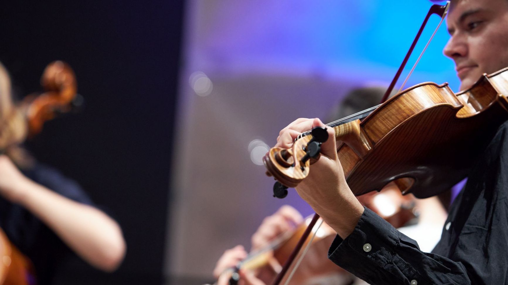 Violinist
