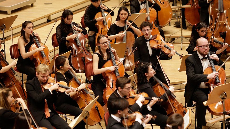 Stimmgruppe der Celli im Sinfoniekonzert