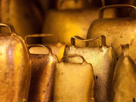 goldene Kuhglocken 