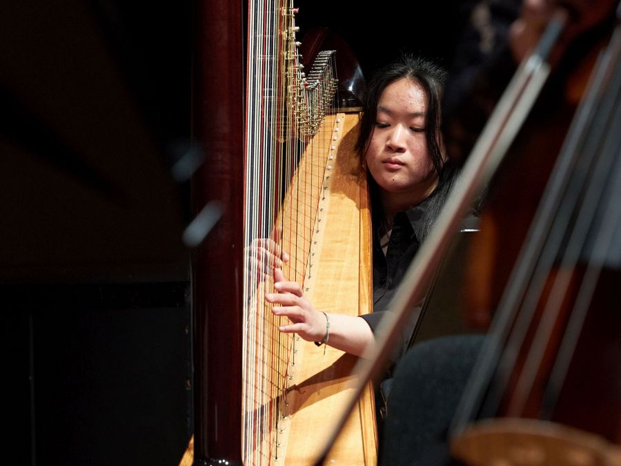 Eisler Sinfonietta