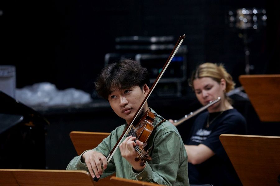 Ein Geiger im Orchester